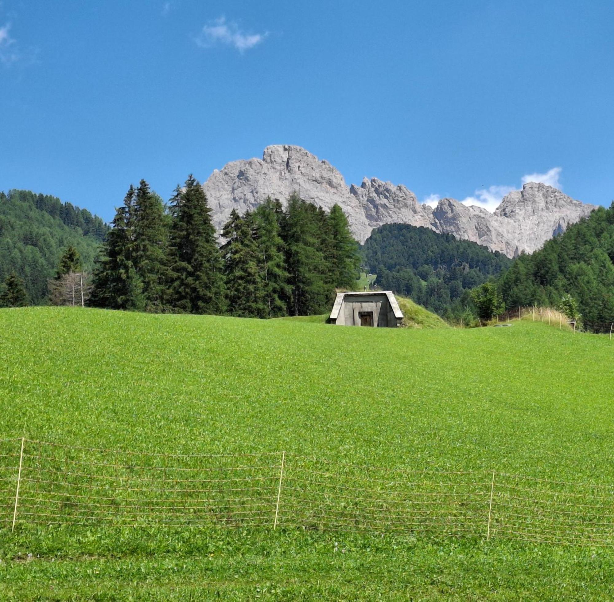 Sella